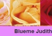 Logo Blueme Judith