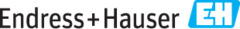 Logo Endress+Hauser (Schweiz) AG