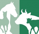 Logo Tierklinik im Fürtli AG