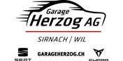 Logo Garage Herzog AG