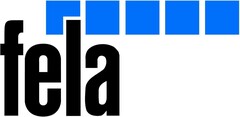 Logo FELA Management AG