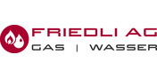 Logo Friedli AG
