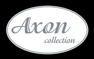 Logo Boutique Axon