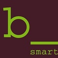 Logo b_smart selection