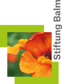 Logo Stiftung Balm