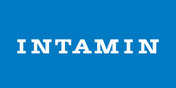 Logo Intamin