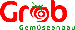 Logo Grob Gemüse AG