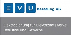 Logo EVU-Beratung AG