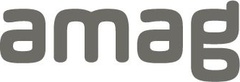 Logo AMAG Group