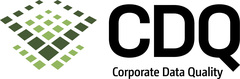 Logo CDQ AG