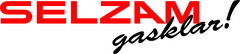 Logo SELZAM AG