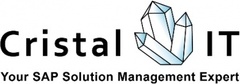 Logo Cristal IT AG - die SAP-Strahler