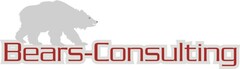 Logo Bears-Consulting GmbH