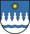 Logo Findungskommission Neckertal
