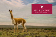 Logo APU KUNTUR GmbH